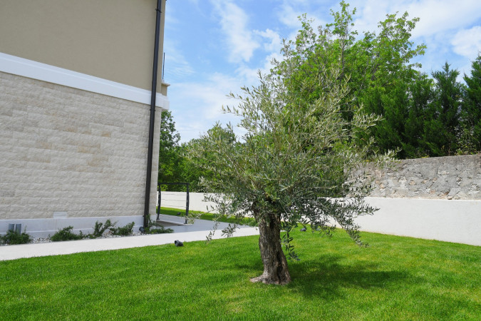 Villa Helena with pool, Brzac, Krk, Croatia Brzac